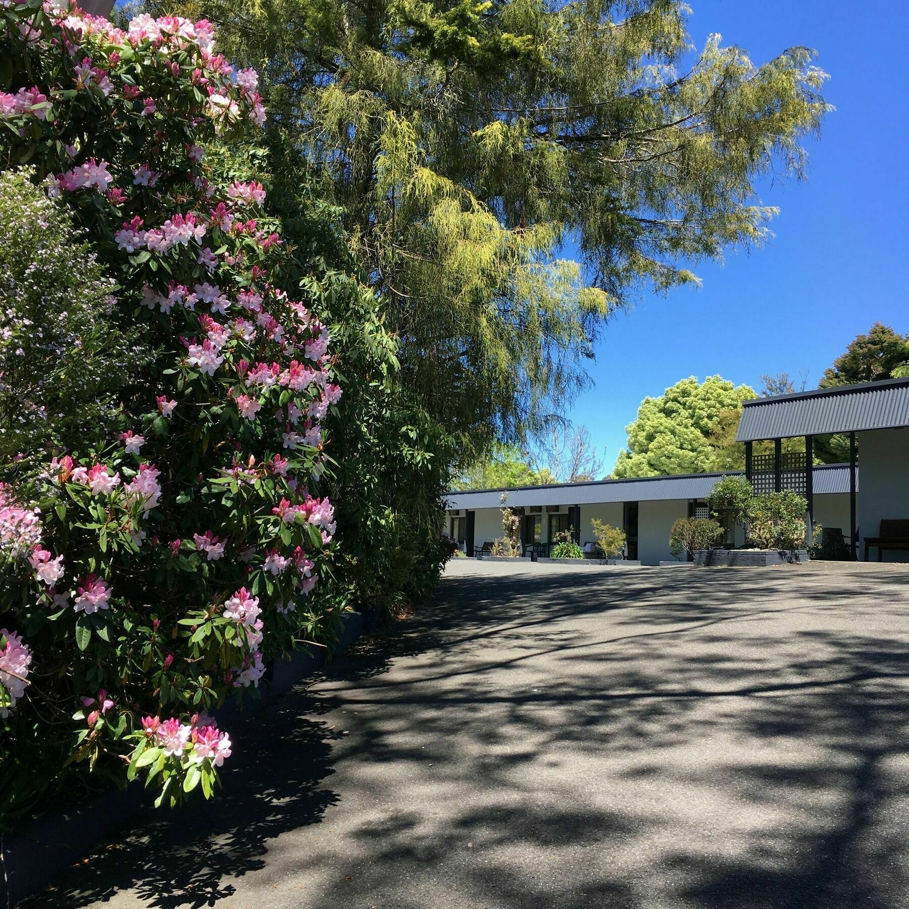 Sky Rider Motor Inn Katoomba Exterior foto